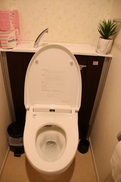 03.08.2025 0:09:31: Japonsko 2025 - Tokyo (Terka)