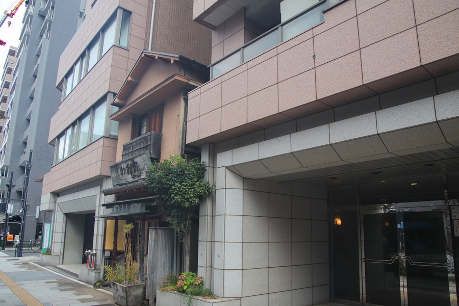 03.08.2025 9:33:53: Japonsko 2025 - Tokyo (Vláďa)