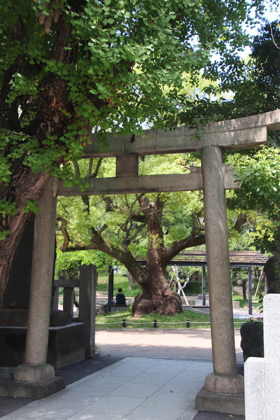 03.08.2025 10:41:53: Japonsko 2025 - Tokyo, Ushijima Shrine (Vláďa)