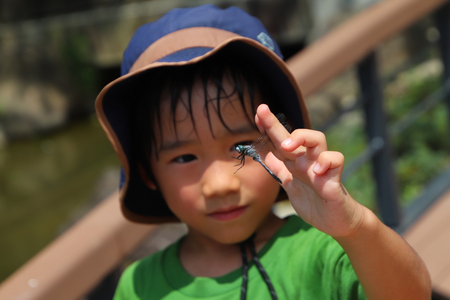 03.08.2025 10:55:40: Japonsko 2025 - Tokyo, Sumida park (Anežka)