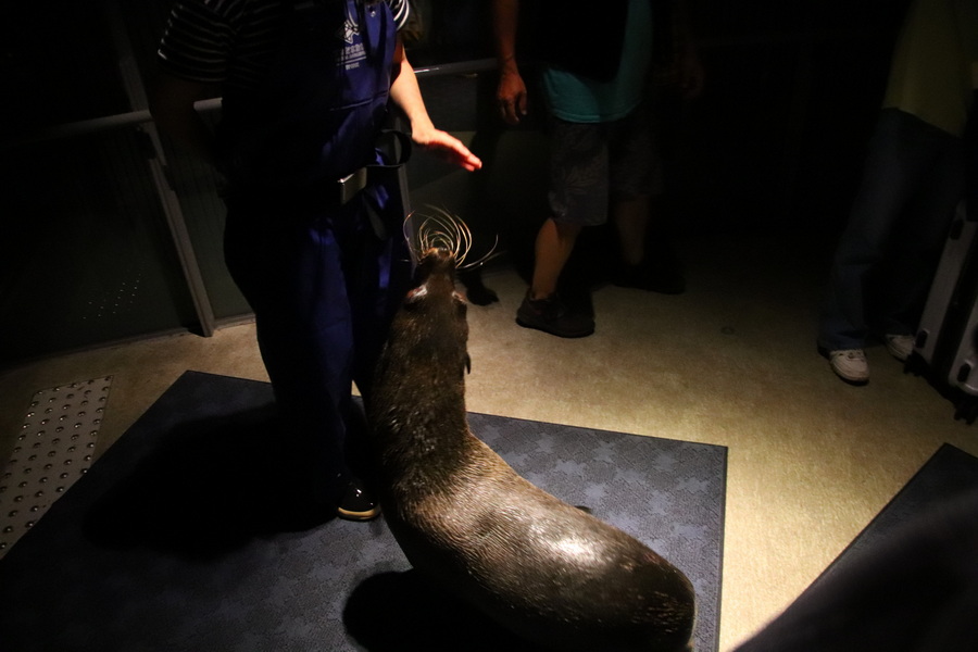 03.08.2025 14:34:53: Japonsko 2025 - Tokyo, Sumida aquarium (Vláďa)