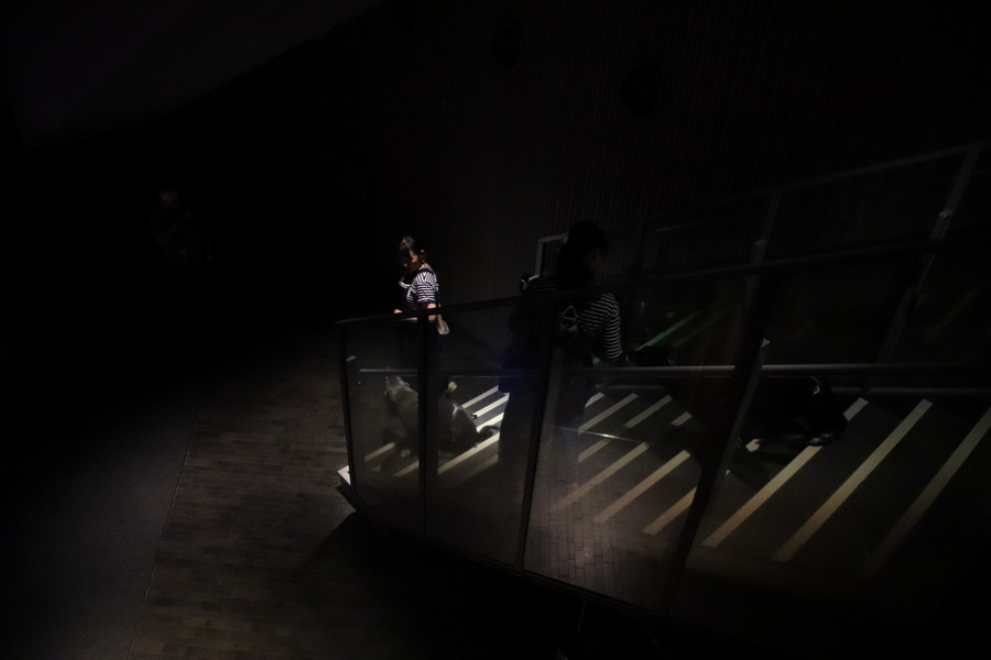 03.08.2025 14:35:13: Japonsko 2025 - Tokyo, Sumida aquarium (Vláďa)