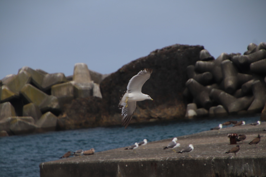 04.08.2025 12:45:36: Japonsko 2025 - Pobřeží u Hachinohe (Anežka)