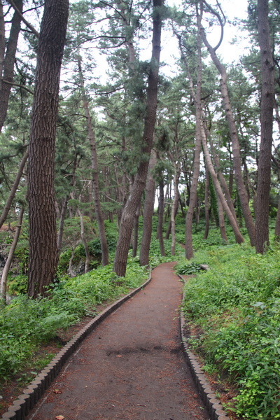 04.08.2025 12:56:00: Japonsko 2025 - Pobřeží u Hachinohe (Anežka)