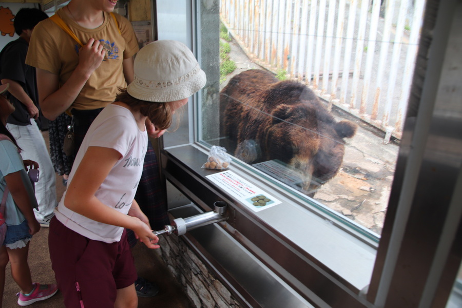 05.08.2025 13:49:27: Japonsko 2025 - Noboribetsu, medvědí park (Vláďa)