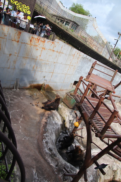 05.08.2025 14:02:33: Japonsko 2025 - Noboribetsu, medvědí park (Vláďa)