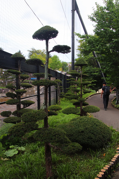 06.08.2025 13:02:51: Japonsko 2025 - Asahikawa, zoo (Vláďa)