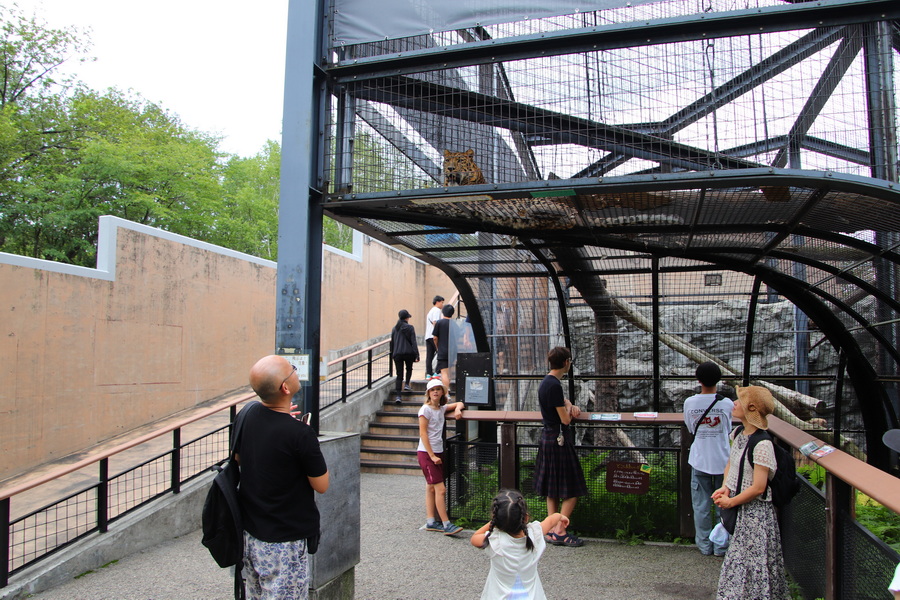 06.08.2025 14:20:54: Japonsko 2025 - Asahikawa, zoo (Vláďa)