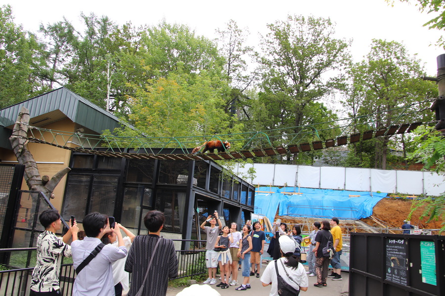 06.08.2025 14:23:32: Japonsko 2025 - Asahikawa, zoo (Vláďa)