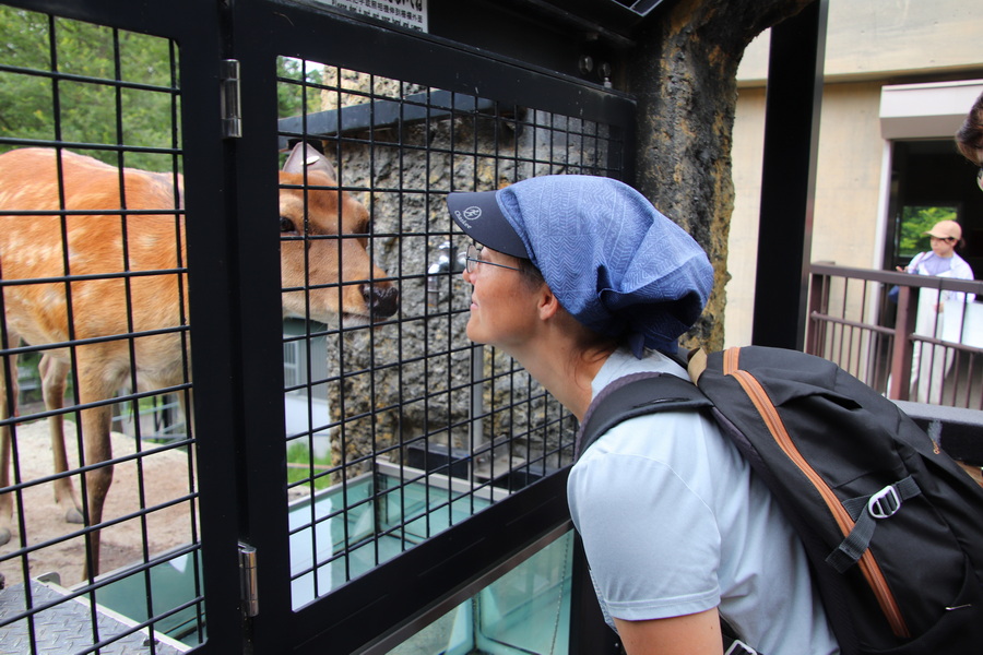 06.08.2025 14:28:27: Japonsko 2025 - Asahikawa, zoo (Vláďa)