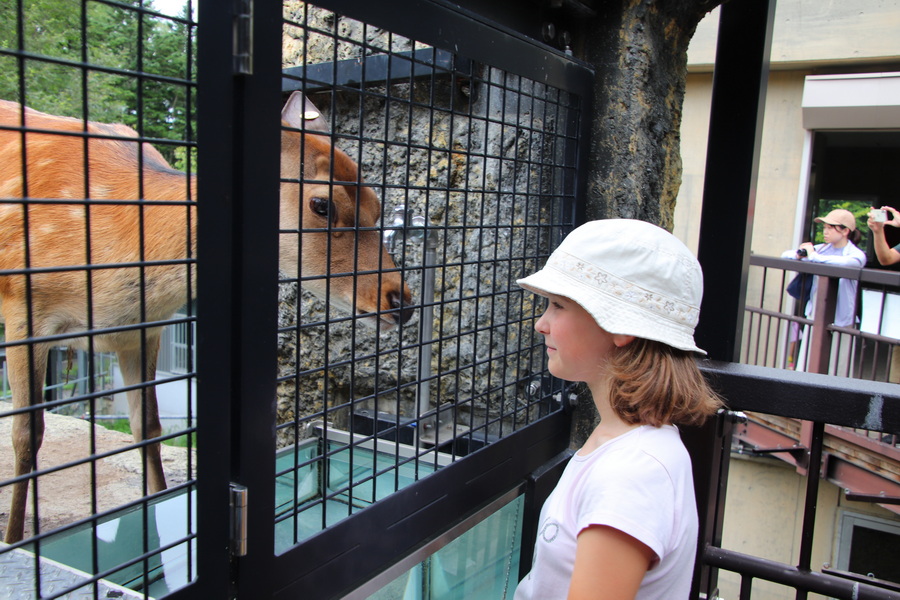 06.08.2025 14:28:36: Japonsko 2025 - Asahikawa, zoo (Vláďa)