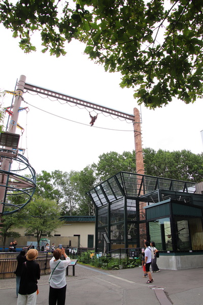 06.08.2025 15:15:18: Japonsko 2025 - Asahikawa, zoo (Vláďa)