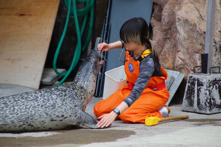 06.08.2025 15:23:25: Japonsko 2025 - Asahikawa, zoo (Vláďa)