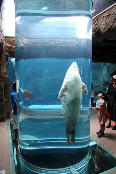 06.08.2025 15:26:39: Japonsko 2025 - Asahikawa, zoo (Vláďa)