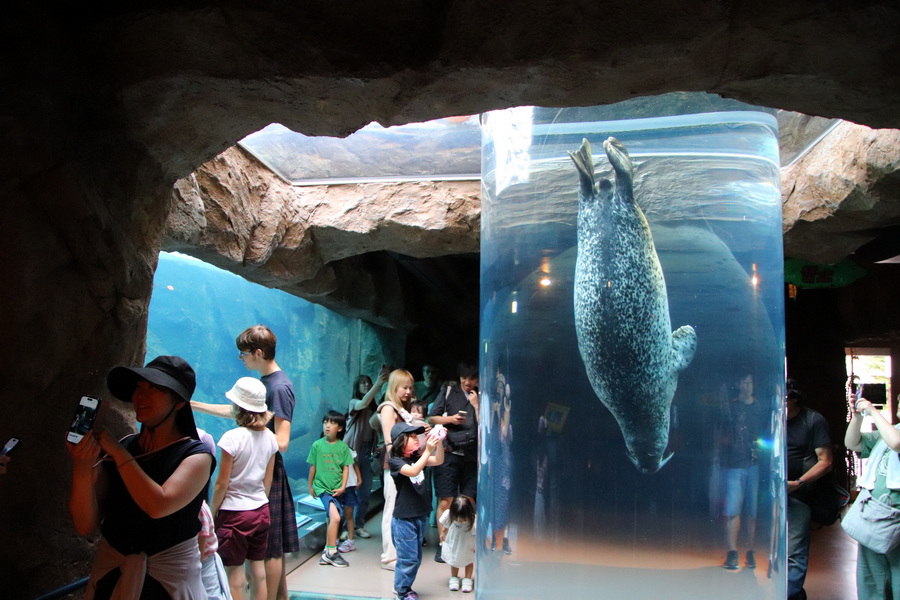 06.08.2025 15:31:13: Japonsko 2025 - Asahikawa, zoo (Terka)