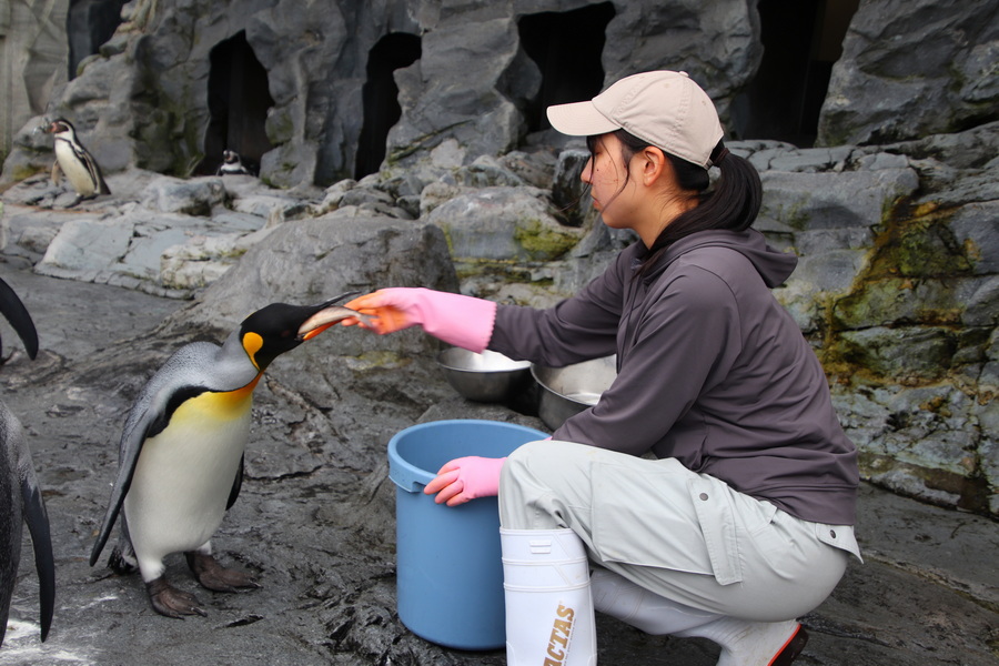 06.08.2025 15:49:10: Japonsko 2025 - Asahikawa, zoo (Vláďa)