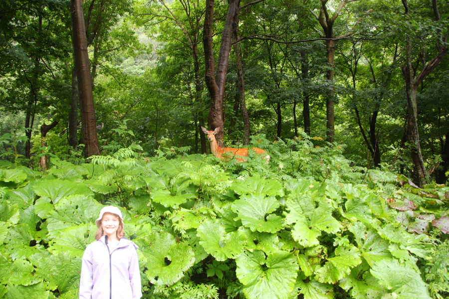 07.08.2025 16:32:23: Japonsko 2025 - Sounkyo, cesta k vodopádům Ginga a Ryusei (Vláďa)