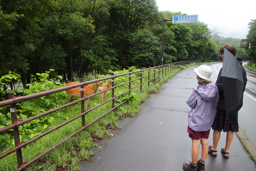 07.08.2025 16:45:56: Japonsko 2025 - Sounkyo, cesta k vodopádům Ginga a Ryusei (Vláďa)