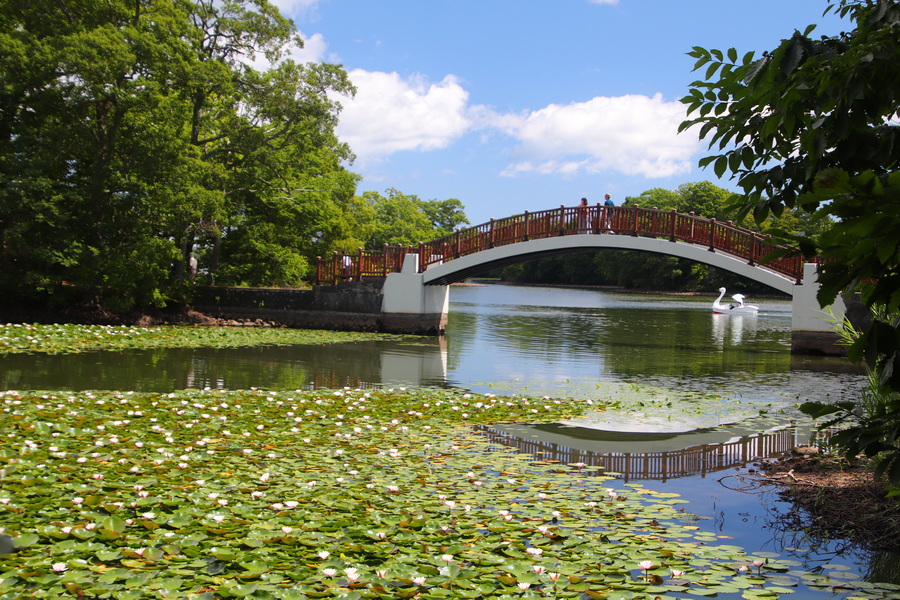 09.08.2025 10:19:20: Japonsko 2025 - Národní park Onuma Quasi (Vláďa)