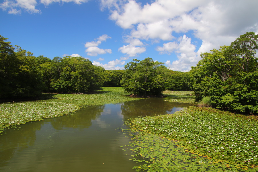 09.08.2025 10:21:45: Japonsko 2025 - Národní park Onuma Quasi (Vláďa)
