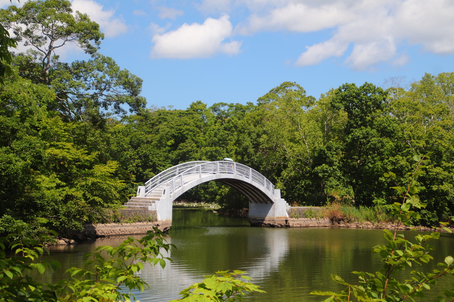09.08.2025 10:22:47: Japonsko 2025 - Národní park Onuma Quasi (Vláďa)
