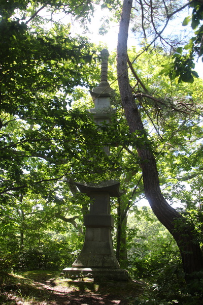 09.08.2025 10:33:36: Japonsko 2025 - Národní park Onuma Quasi (Vláďa)