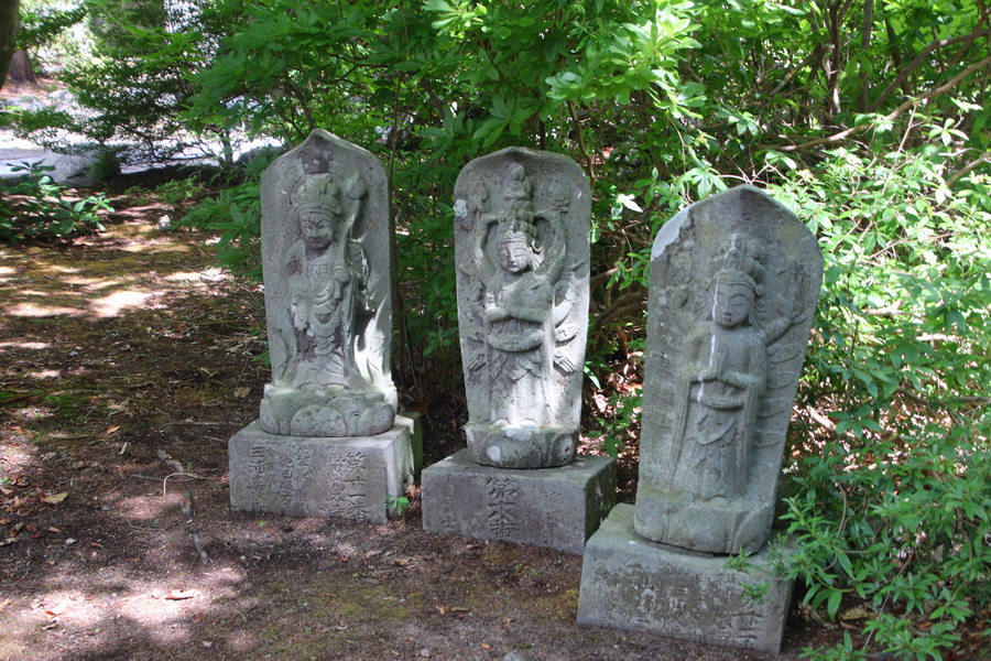 09.08.2025 12:14:16: Japonsko 2025 - Showaji (Vláďa)