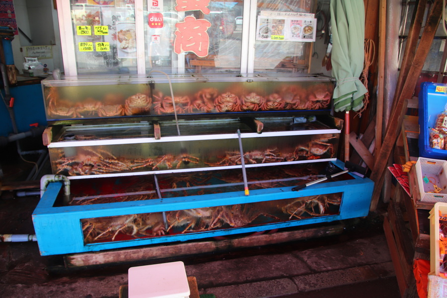 09.08.2025 14:39:37: Japonsko 2025 - Hakodate (Vláďa)