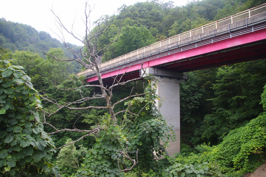 10.08.2025 17:01:17: Japonsko 2025 - Přehrada Tamagawa (Vláďa)