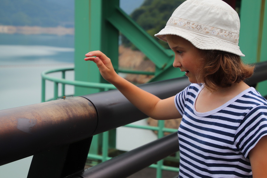 10.08.2025 17:21:03: Japonsko 2025 - Přehrada Tamagawa (Vláďa)