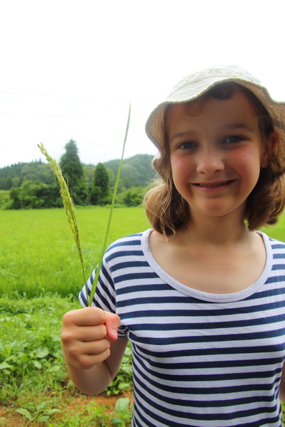 11.08.2025 10:54:41: Japonsko 2025 (Terka)