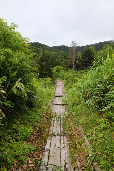 11.08.2025 11:43:51: Japonsko 2025 - Hachimantai Oobayachi (Vláďa)