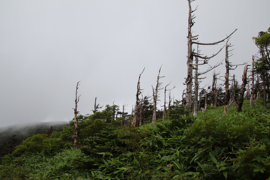 11.08.2025 12:51:53: Japonsko 2025 - Hačimantai (Vláďa)