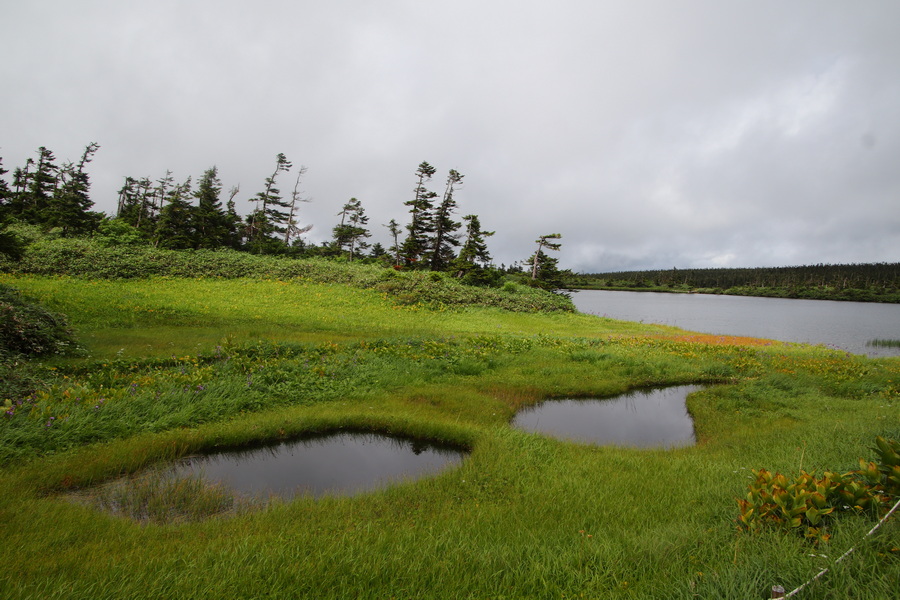 11.08.2025 13:04:57: Japonsko 2025 - Hačimantai (Terka)