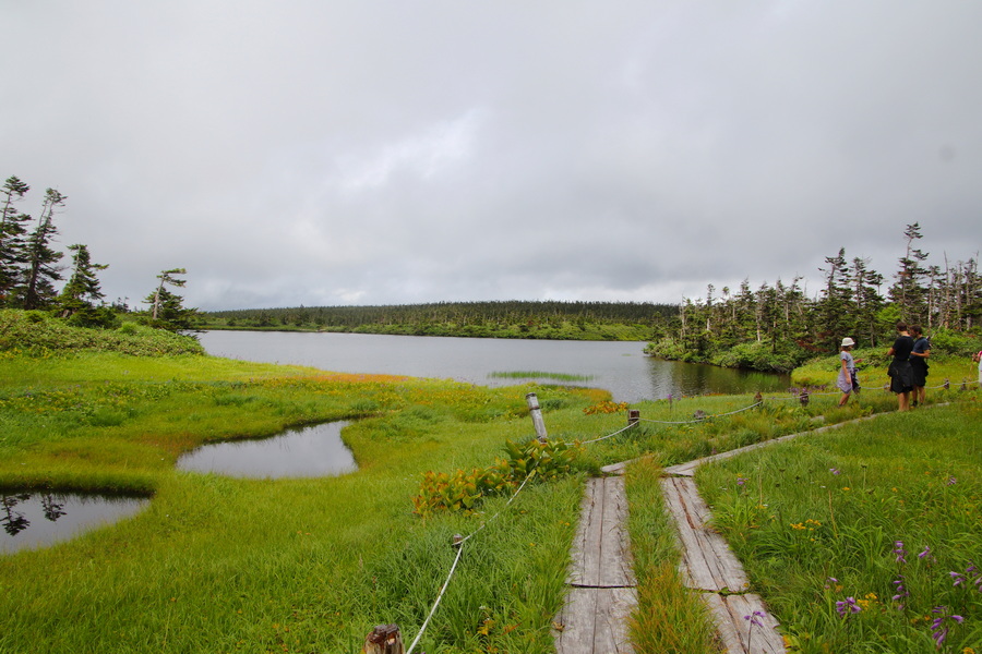 11.08.2025 13:05:02: Japonsko 2025 - Hačimantai (Terka)