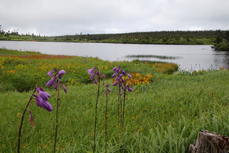 11.08.2025 13:05:52: Japonsko 2025 - Hačimantai (Terka)
