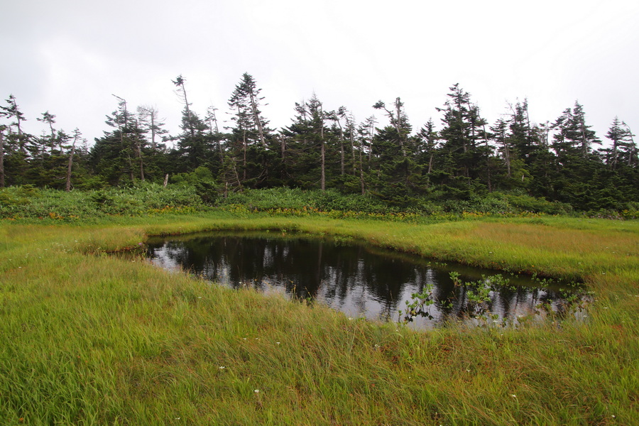 11.08.2025 13:09:45: Japonsko 2025 - Hačimantai (Vláďa)