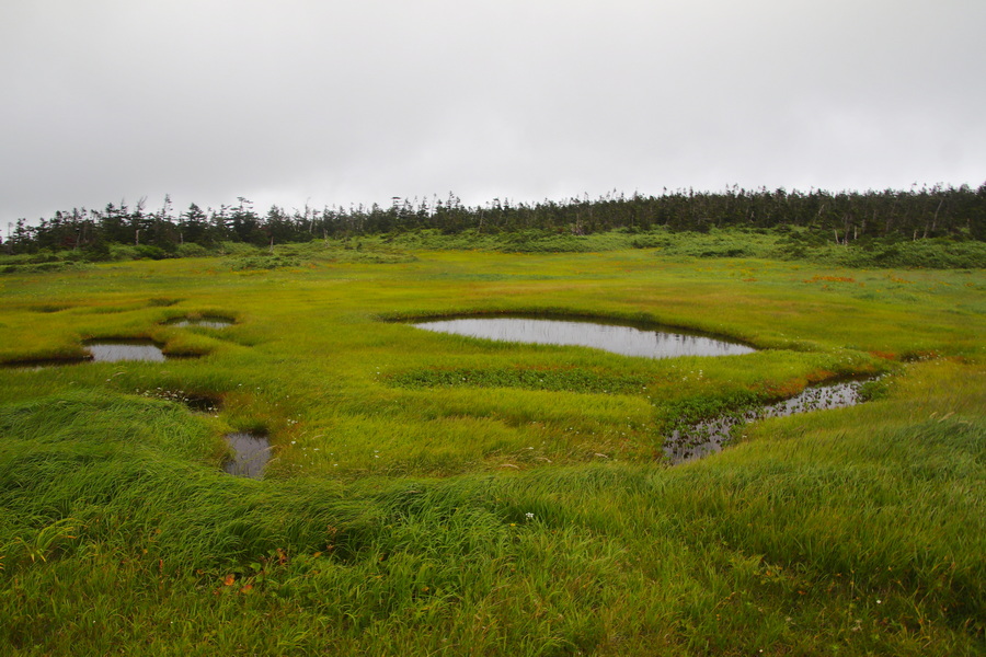 11.08.2025 13:56:53: Japonsko 2025 - Hačimantai (Vláďa)