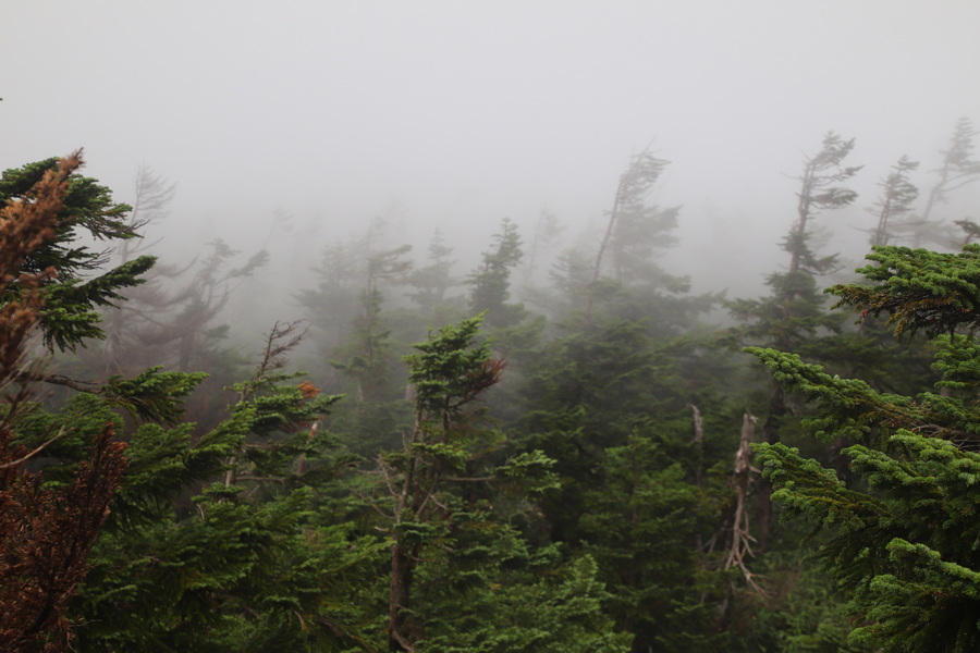 11.08.2025 14:23:29: Japonsko 2025 - Hačimantai (Vláďa)