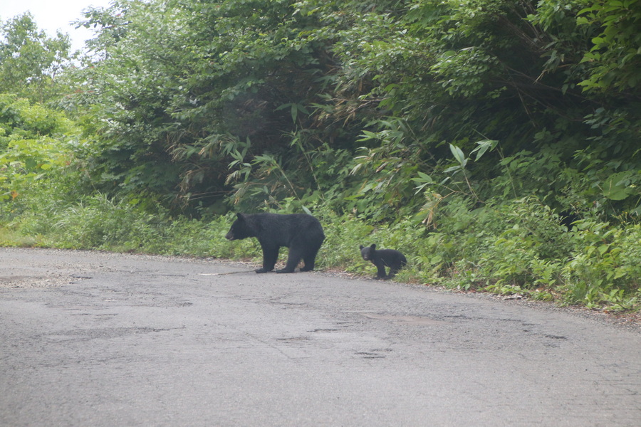 11.08.2025 15:08:55: Japonsko 2025 - Fukenoyu onsen (Vláďa)