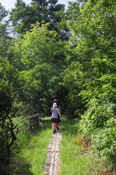 11.08.2025 15:34:11: Japonsko 2025 - Hachimantai Onuma Pond (Terka)