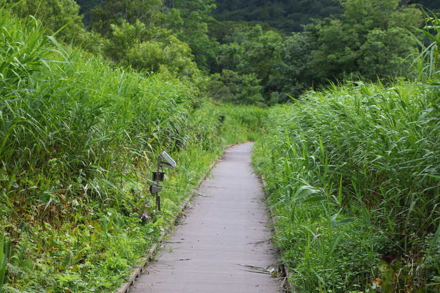 11.08.2025 15:39:24: Japonsko 2025 - Hachimantai Onuma Pond (Vláďa)