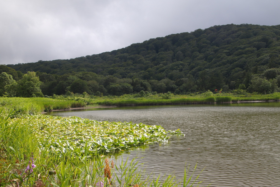 11.08.2025 15:48:57: Japonsko 2025 - Hachimantai Onuma Pond (Terka)