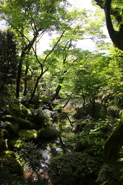 13.08.2025 14:20:52: Japonsko 2025 - Nikko (Terka)