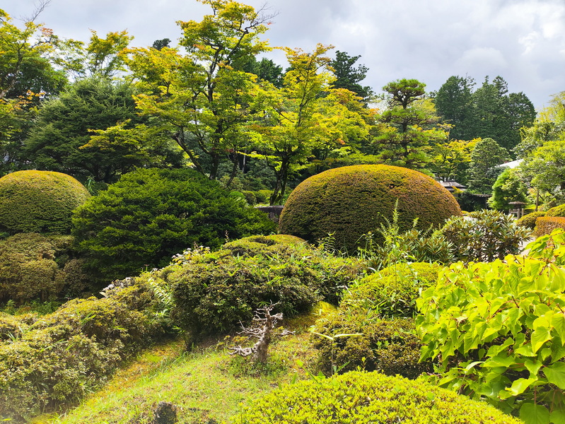 13.08.2025 14:23:01: Japonsko 2025 - Nikko (Terka)