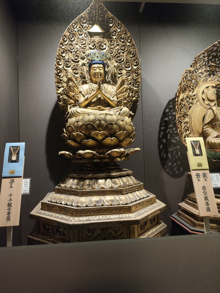 13.08.2025 14:36:44: Japonsko 2025 - Nikko (Vláďa)