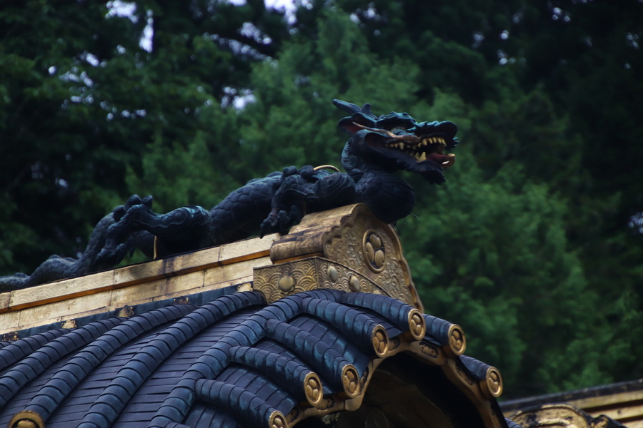 13.08.2025 15:23:25: Japonsko 2025 - Nikko (Terka)