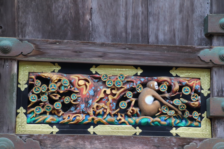 13.08.2025 16:04:17: Japonsko 2025 - Nikko (Terka)