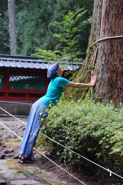 13.08.2025 16:09:10: Japonsko 2025 - Nikko (Vláďa)