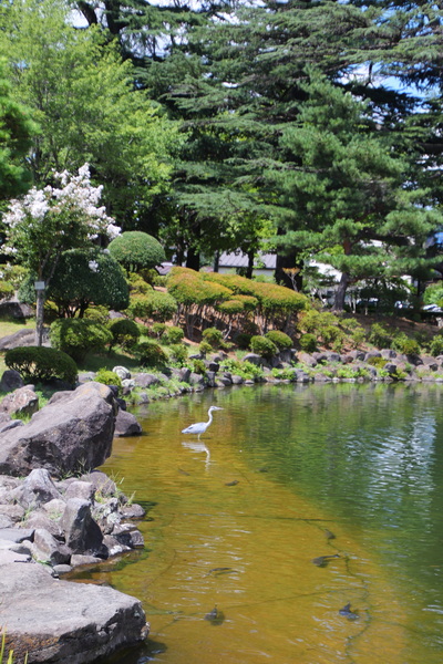 14.08.2025 13:01:01: Japonsko 2025 - Macumoto, park Agatanomori (Vláďa)